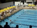 4x 50 Medley, Festival Sudeste de Não federados 2008
