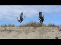 Street Traceur Team-Trip to Hel Vol.1 Street Traceur Team-Trip to Hel Vol.1