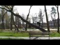 Street Traceur Team-Trip to Hel Vol.1