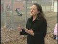 Shelters See Increase In Animal Drop-Offs