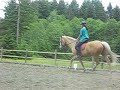 Saffy- palomino mare for sale Saffy- palomino mare for sale
