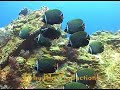 Thailand Video