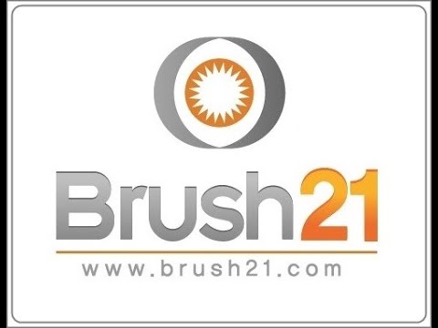 Roller brush (punch type)