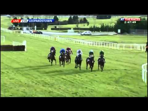 Hurricane Fly BHP Insurances Irish Champion Hurdle (G1) 2015