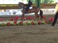 PASO FINO PR CEREMONIA FC EN TRUJILLO