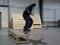 steve macadams 5