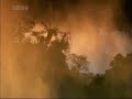 Аргентина, Водопады Игуасу (BBC Natural World)
