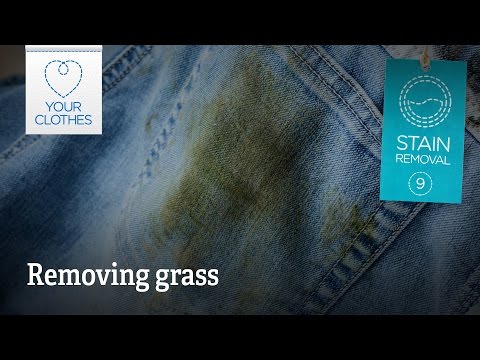 video-linktoworks-Stain removal: how to remove grass stains from clothes