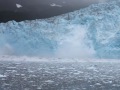 Aialik Glacier Calving