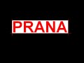 PRANA PRANA