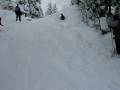 videos de sledding