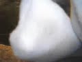 In school in white socks