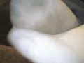 In school in white socks
