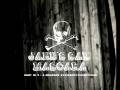 JANE´S SAW