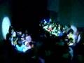 fiesta estelaris