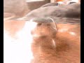 Haarkugel Haarkugel