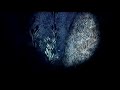 music: re4 credits