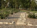 Zonta Club of Granbury Texas Master Gardener Program