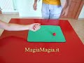 grande fretello palline di spigna magia