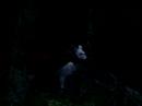 deer-hunter-2005-albino.html