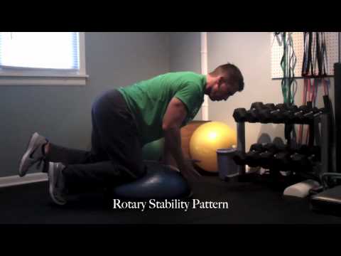 Rotary Stability Movement