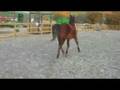 Edoras & Boromir First Loose Jump