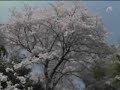 A級戦犯はいない！佐藤和男 (6-3)