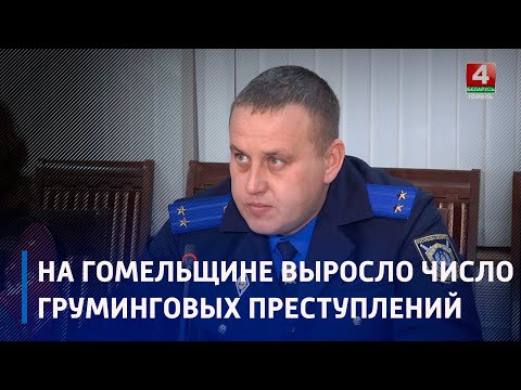 На Гомельщине выросло число груминговых преступлений видео