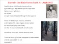 Storm in the Black Forest by DH Lawrence