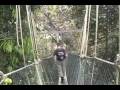 Taman Negara National Park, Malaysia - YouTube