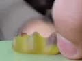 reproduccion de los ositos haribo xxx