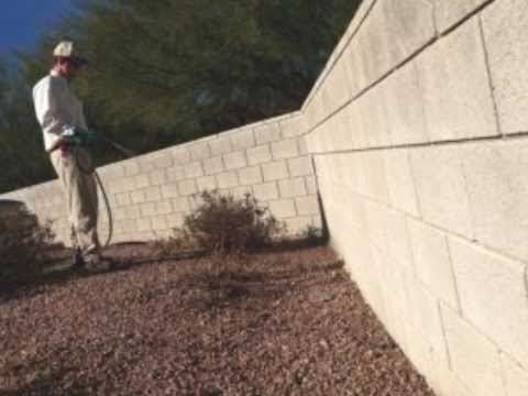 how to get rid of scorpions in az