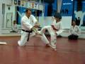 videos de MOV01619.MPG
