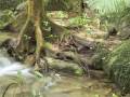 YouTube - Cairns Hotel Accommodation - Rydges Tradewinds Cairns
