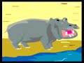 Animals Video for Kids