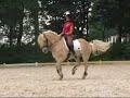 fjords-can-do-more-guus-in-piaffe-english.html