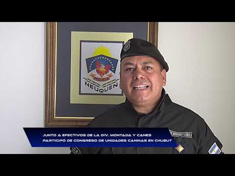 Ultimas Noticias Ultimas Noticias
