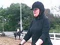 Horses