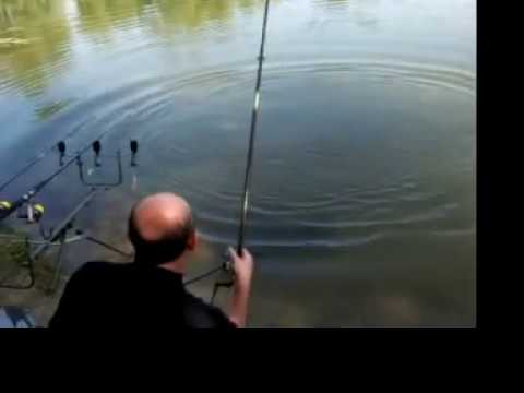 Carpe et pêche aux étangt st hubert à Châlons en Champagne 51