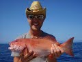 Cairns Killer Fishing Trips