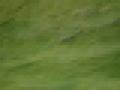 videos de DiscDoggin101