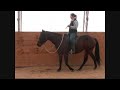 Level 2 Freestyle Kelsey and Java I.wmv