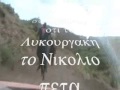 o zoro tis viannou (OZZY) the ctazy horses