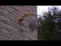 Glyn n Gaz Breakin The Court!!! Glyn n Gaz Breakin The Court!!!