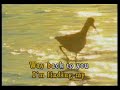 teledysk, klip, MICHELLE BRANCH,- Find My Way Back