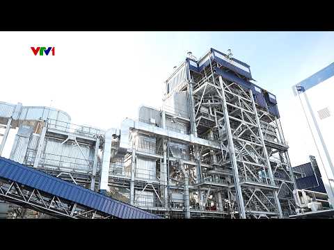 Phát triển điện sinh khối – thúc đẩy chuyển đổi năng lượng xanh tại Việt Nam