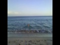 Figueirinha,,