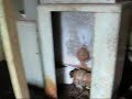 Basement Confessions
