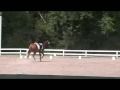 Greenestone Stables - 8/8/09 Training Level Test 4