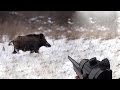 Видео - Охота #22 красивые выстрелы, на номере